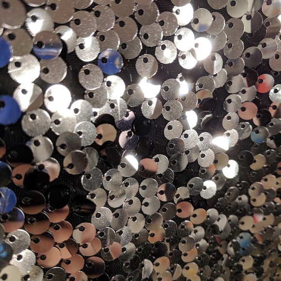 Metallic Silver Sequin Dress - Picture 7 of 8